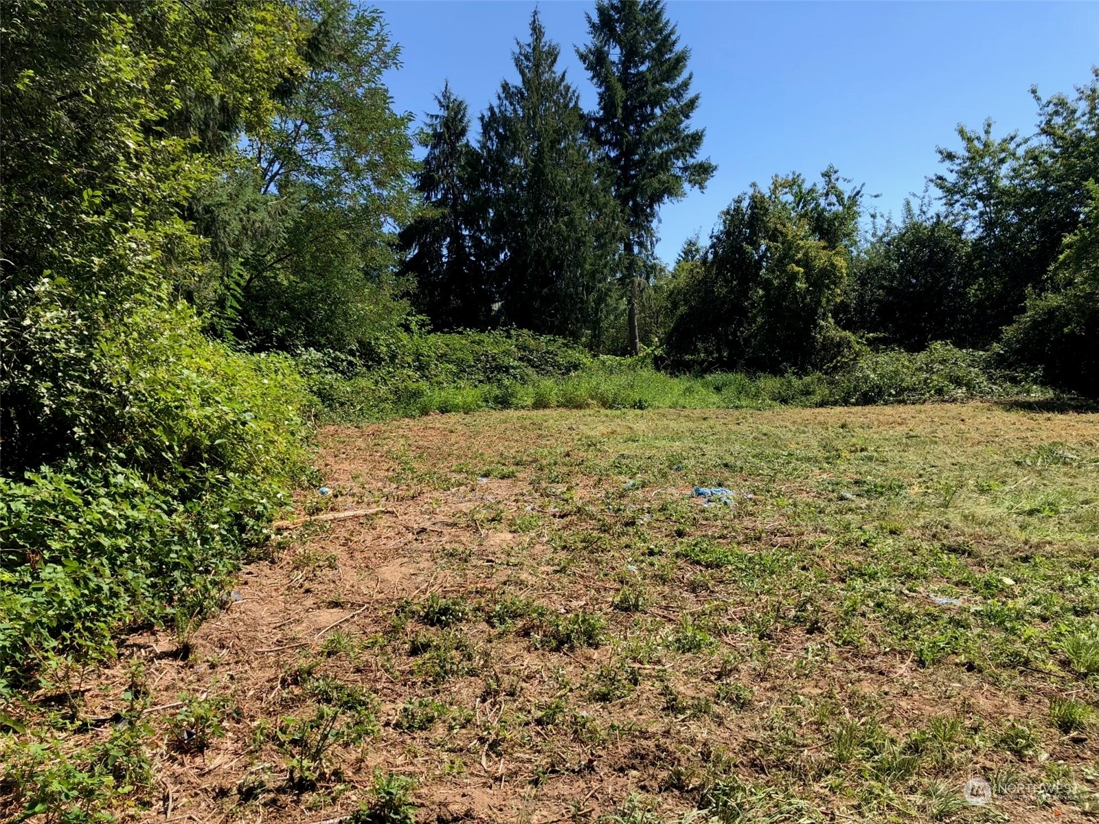 1 Halliday Road Centralia, WA 98531 - Photo 2 of 4 Gallery Image 2