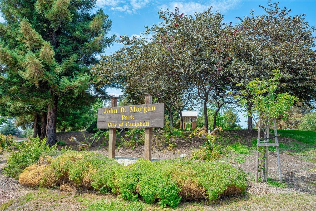 699 Cambrian Drive Campbell, CA 95008 - Photo 35 of 35 a garden view with a seating space