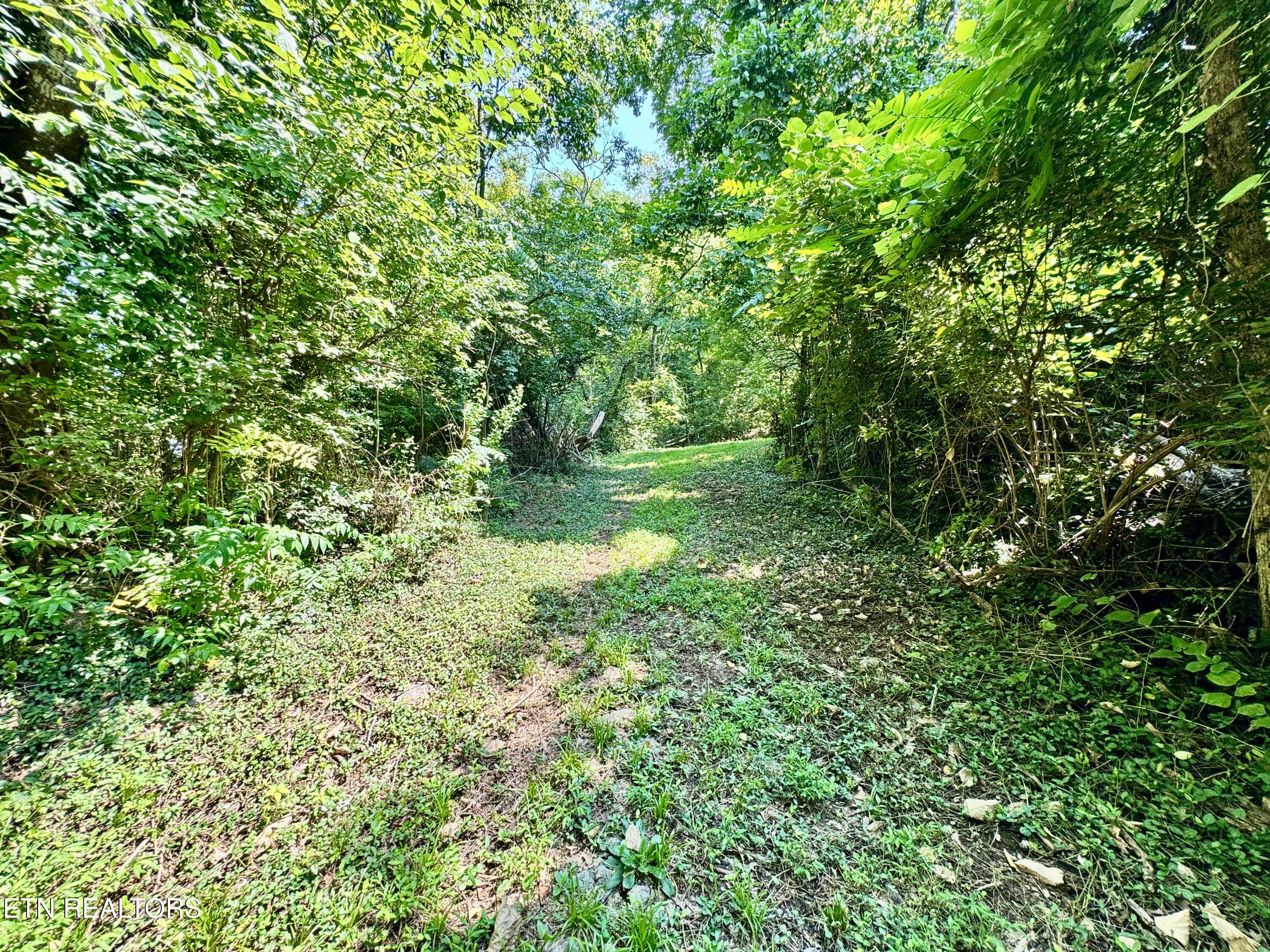 0 Tecoy Quarry Road Northwest Knoxville, TN 37921 - Photo 37 of 37 1-38