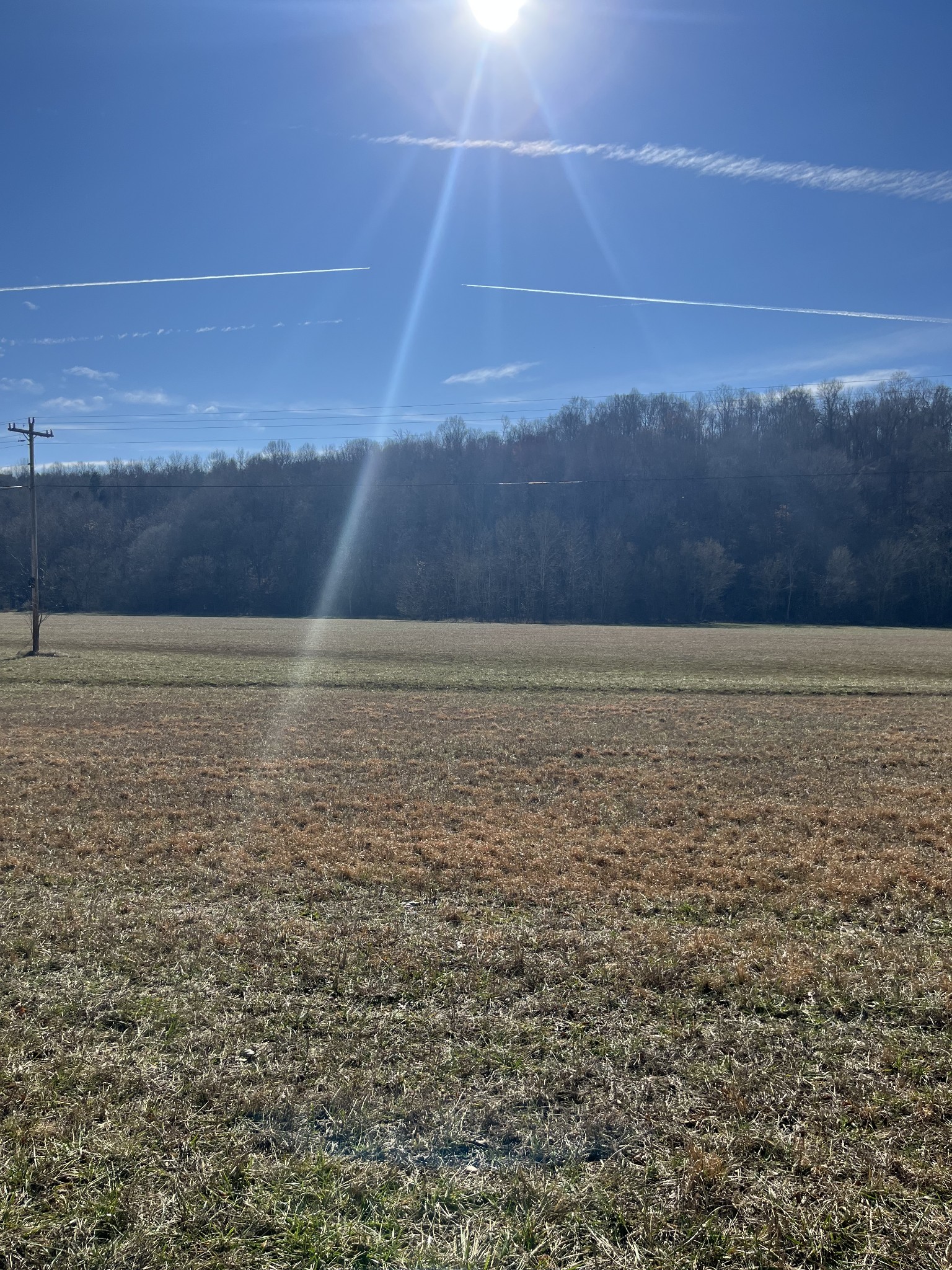 3702 Tarsus Road Palmyra, TN 37142 - Photo 1 of 8 Gallery Image 1