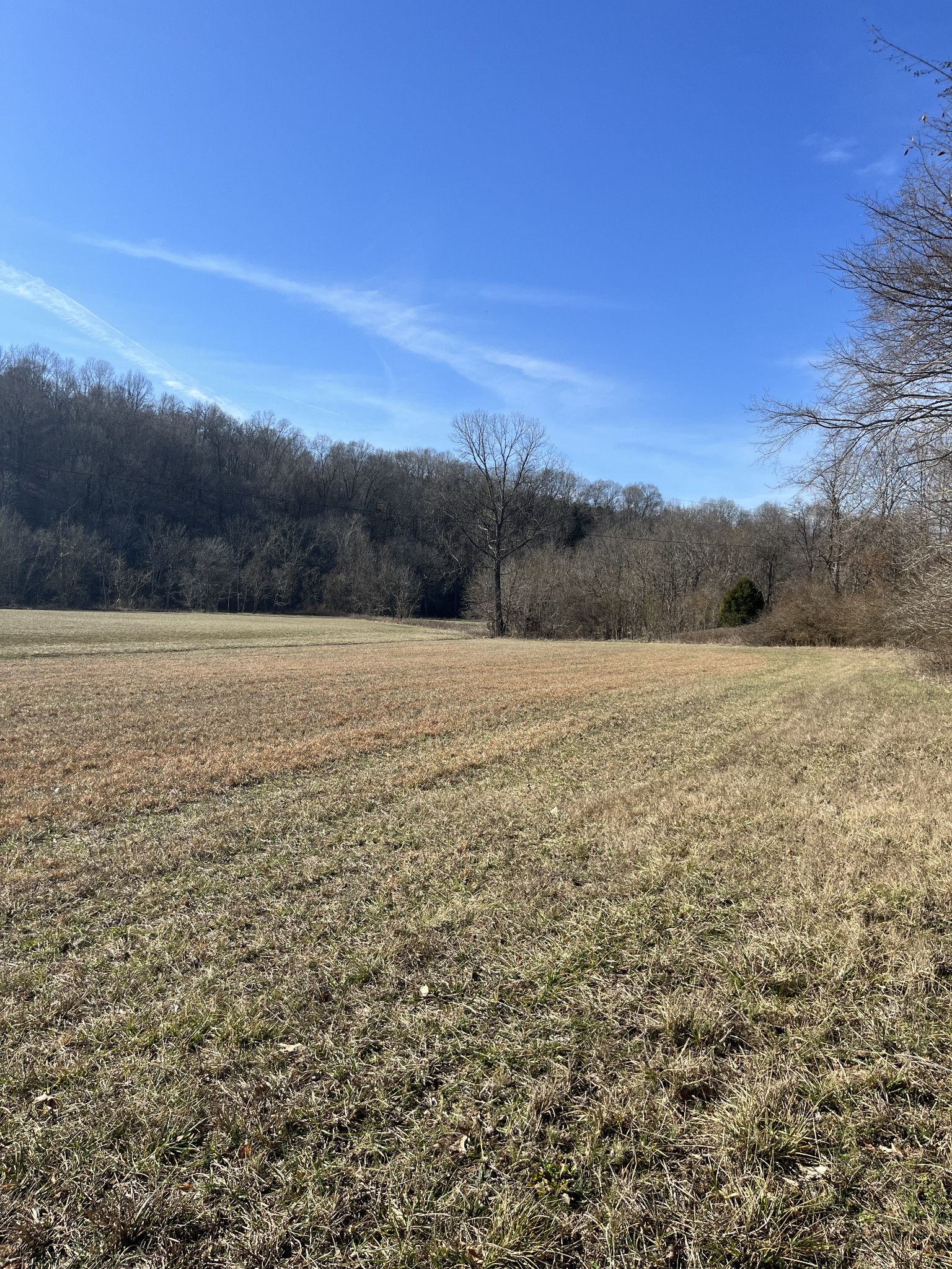3702 Tarsus Road Palmyra, TN 37142 - Photo 2 of 8 Gallery Image 2