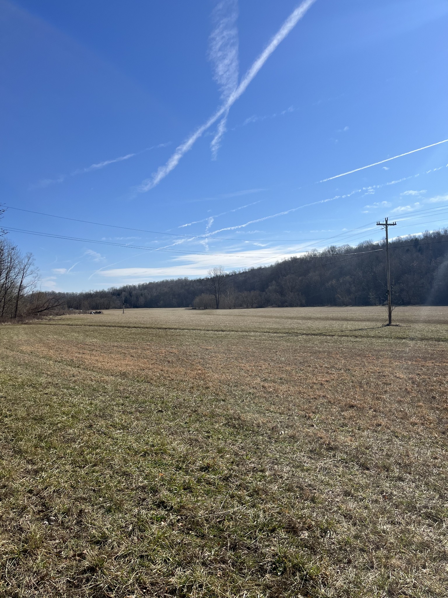 3702 Tarsus Road Palmyra, TN 37142 - Photo 3 of 8 Gallery Image 3