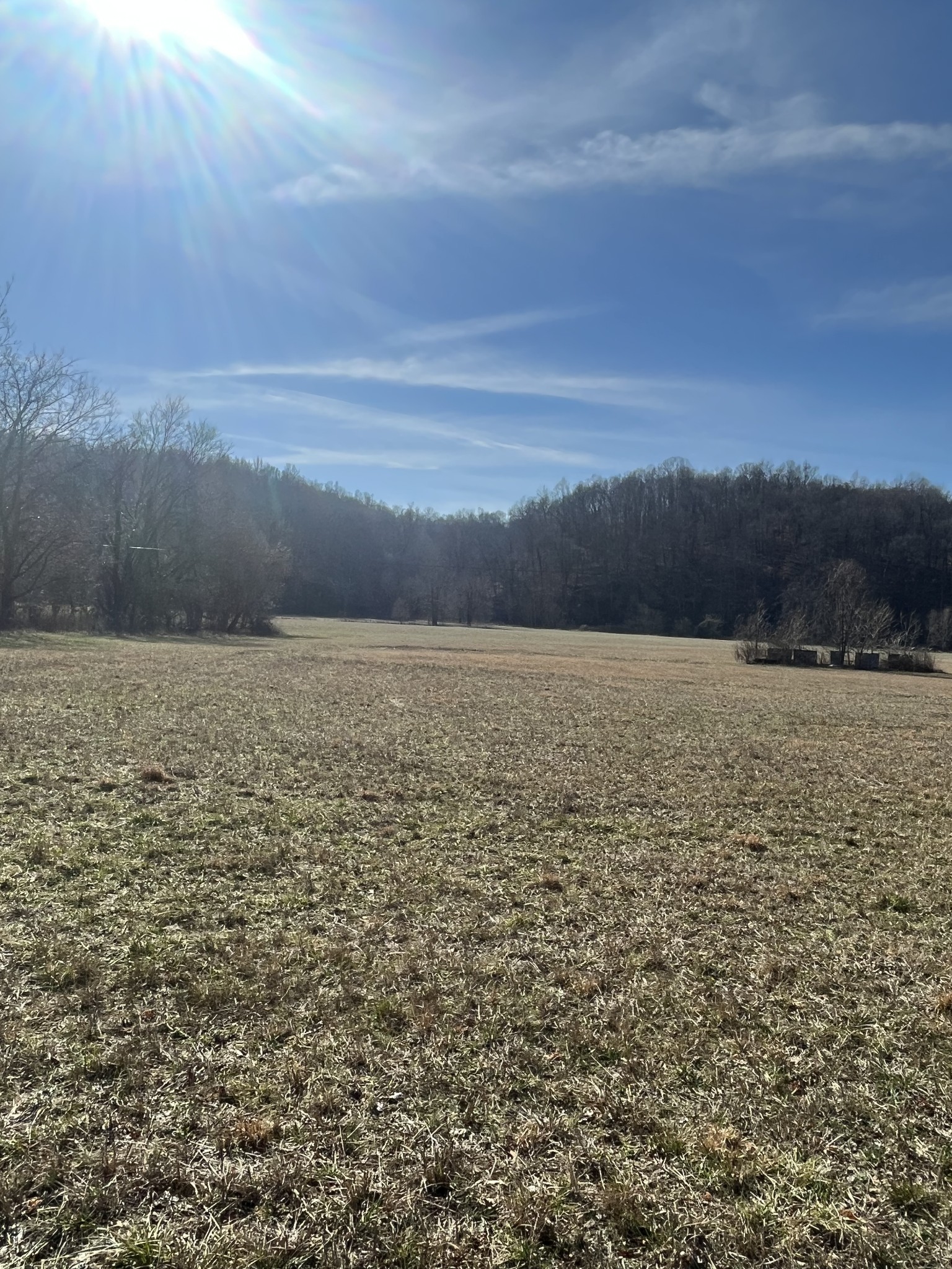3702 Tarsus Road Palmyra, TN 37142 - Photo 5 of 8 Gallery Image 5
