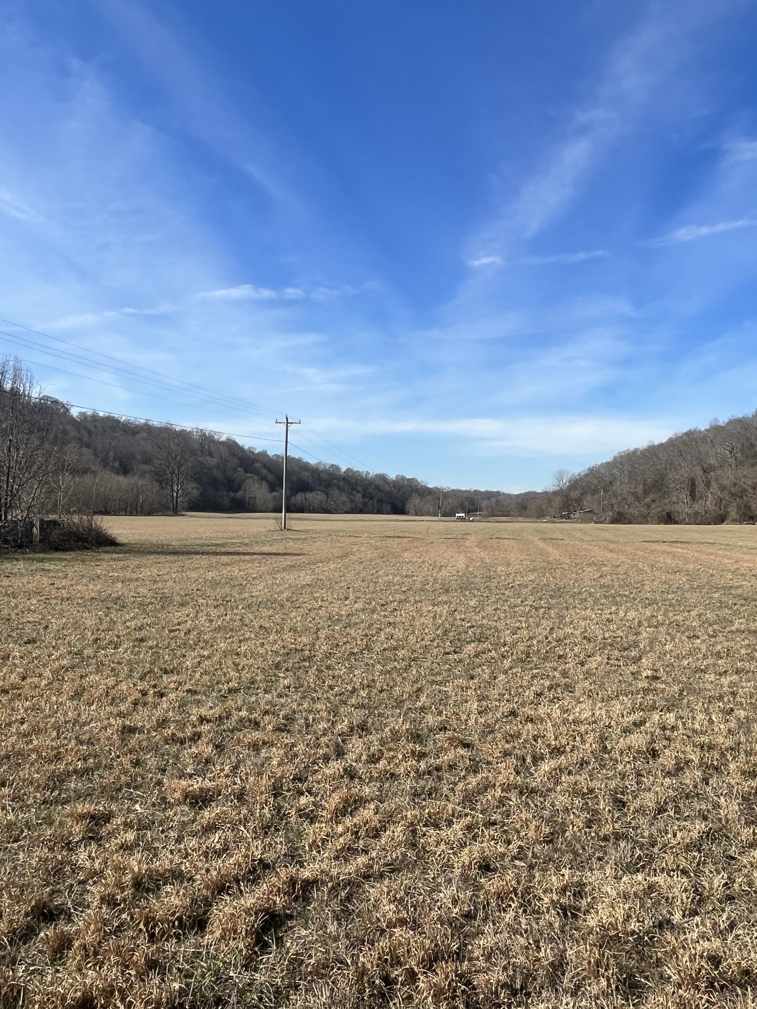 3702 Tarsus Road Palmyra, TN 37142 - Photo 6 of 8 Gallery Image 6