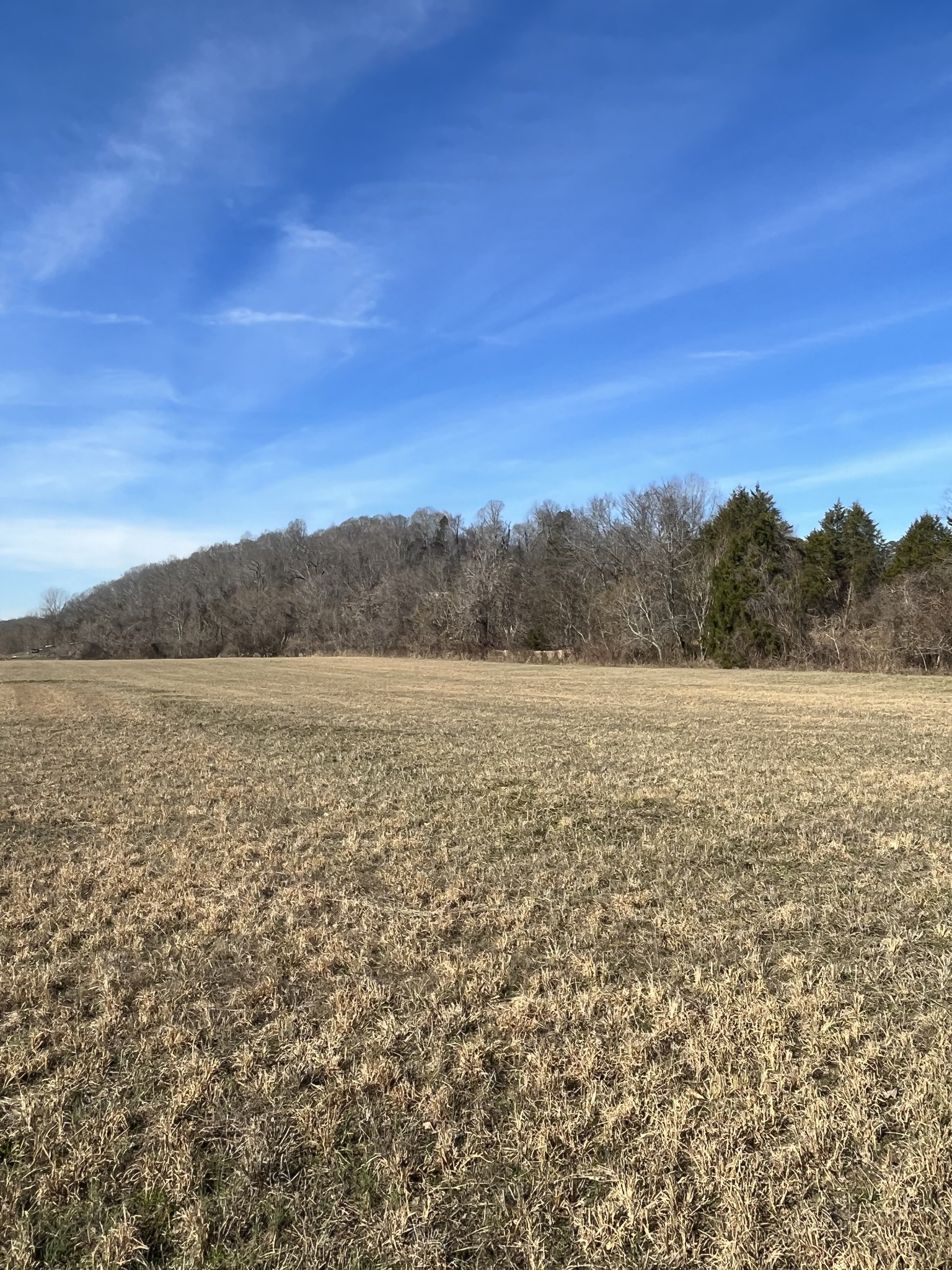 3702 Tarsus Road Palmyra, TN 37142 - Photo 7 of 8 Gallery Image 7