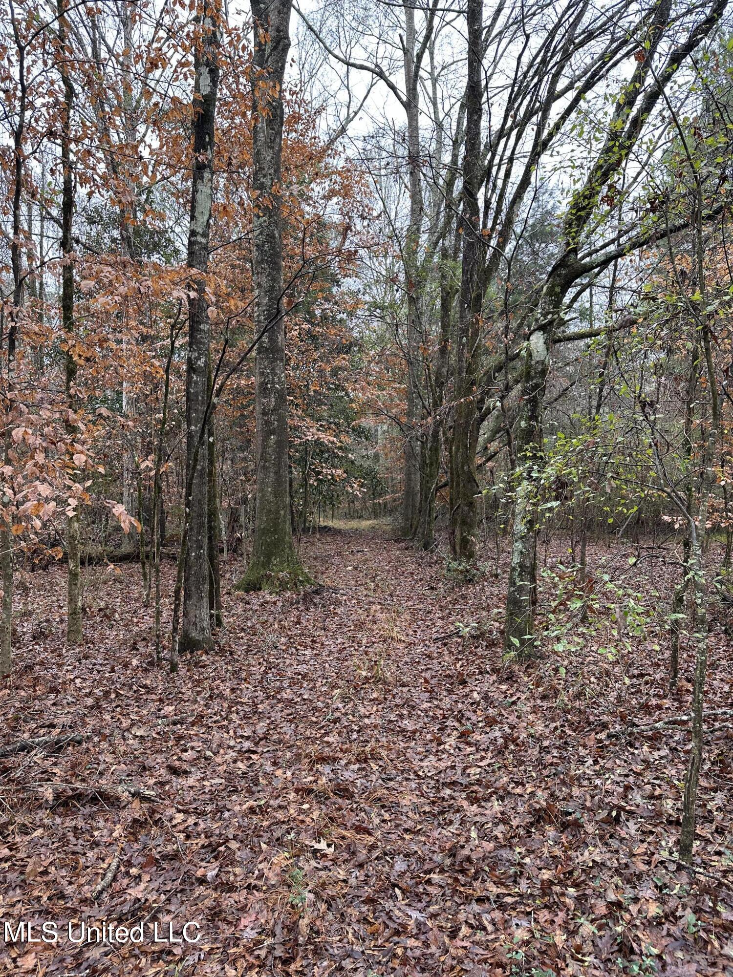 North David Sherman Road Newhebron, MS 39140 - Photo 12 of 23 IMG_0586