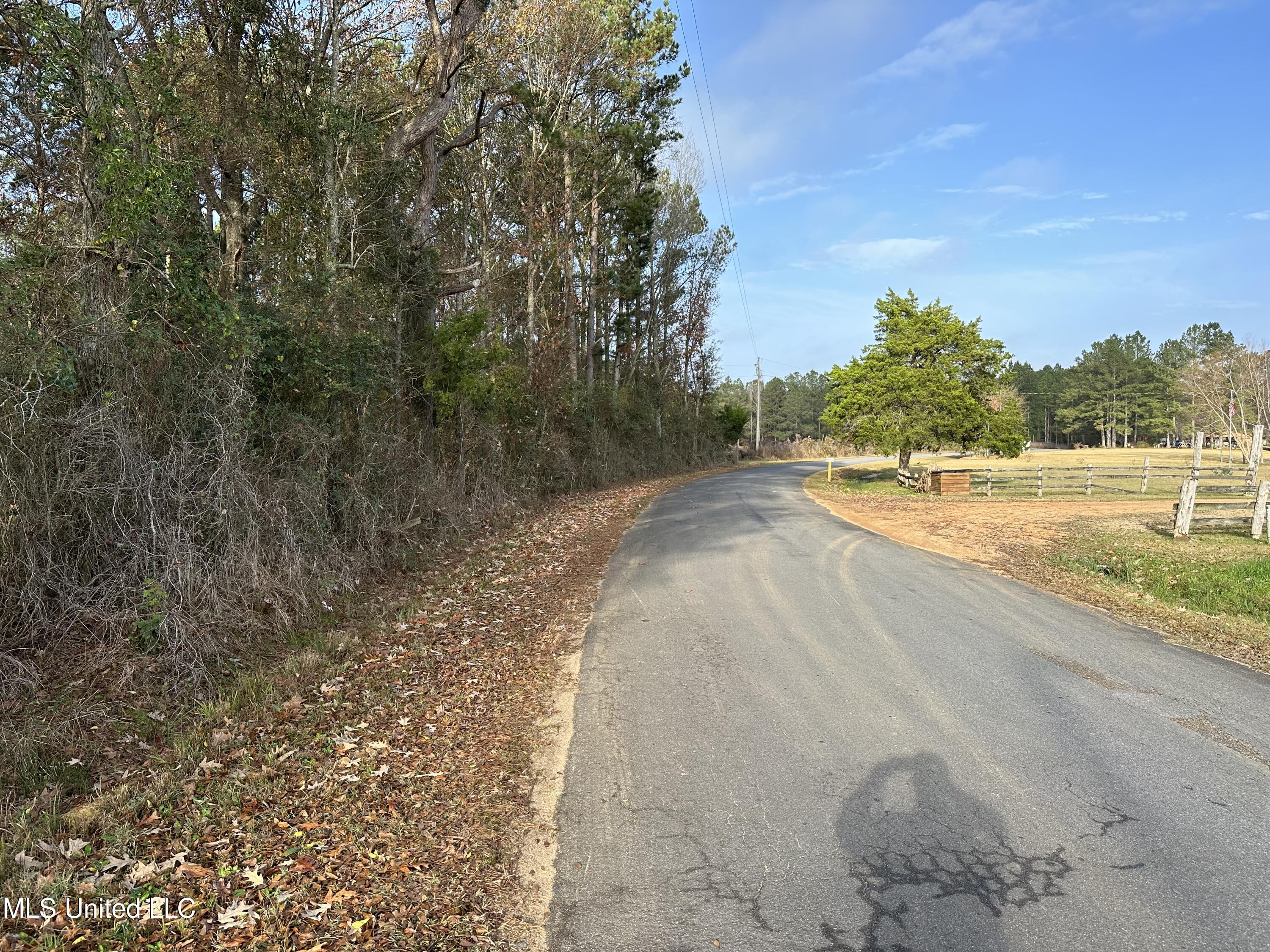 North David Sherman Road Newhebron, MS 39140 - Photo 13 of 23 IMG_0557