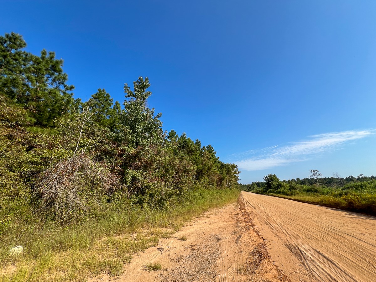 0 Shady Grove Road Woodville, TX 75979 - Photo 11 of 12