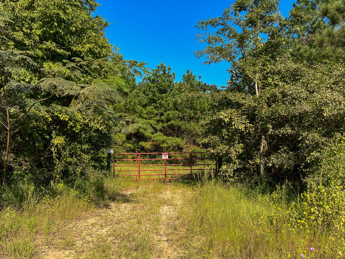 0 Shady Grove Road Woodville, TX 75979 - Photo 8 of 12