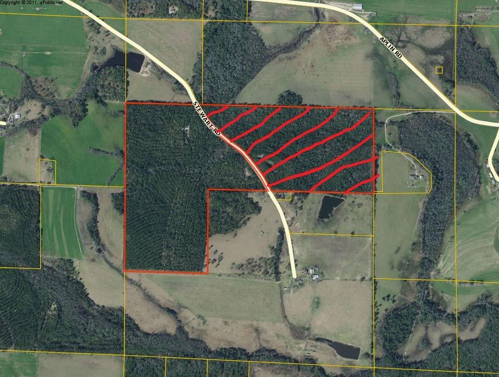 95-acres Stewart Road DeFuniak Springs, FL 32433 - Photo 1 of 1 a bird view of a house