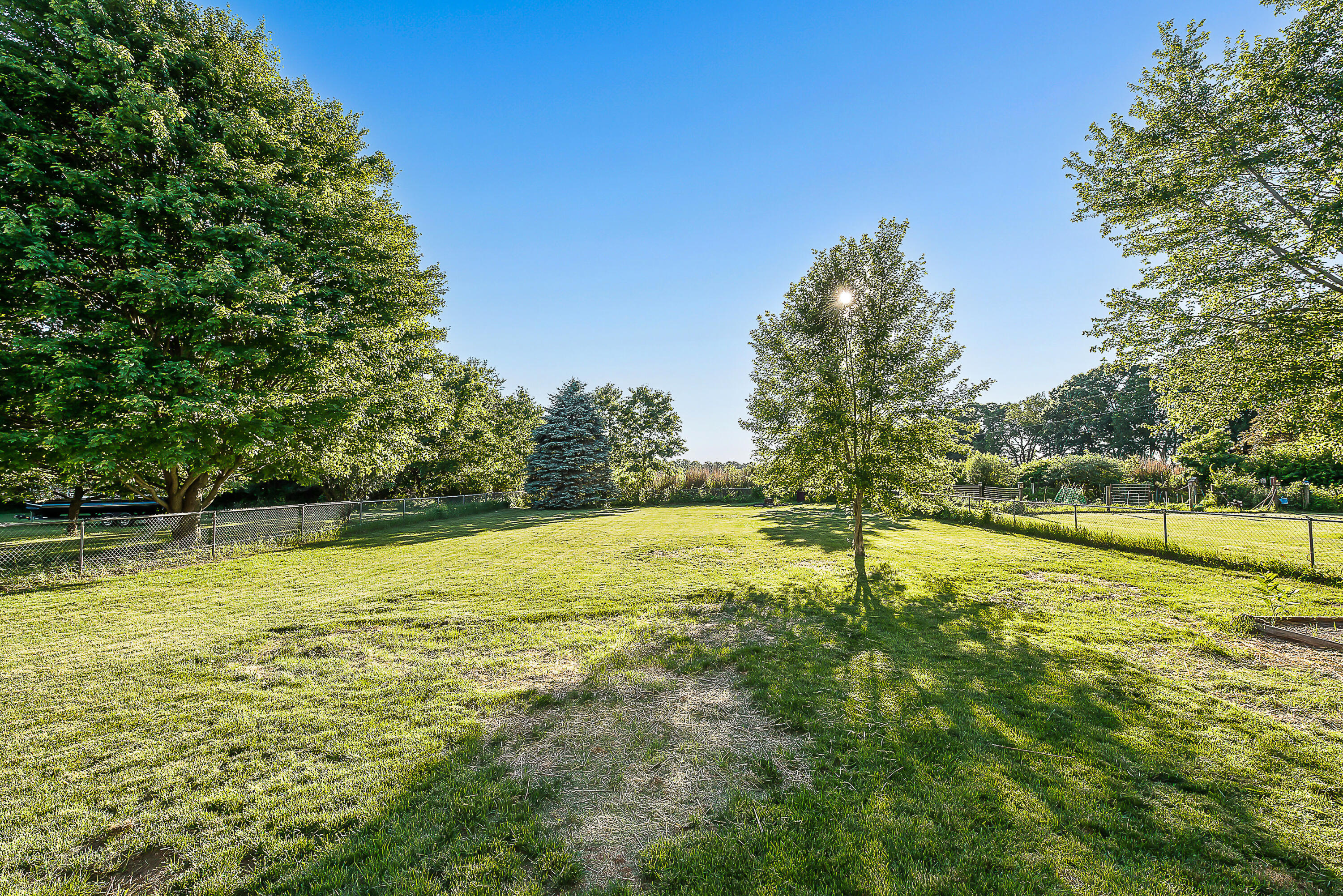8280 Clear Lake Road Grass Lake, MI 49240 - Photo 21 of 35 Yard