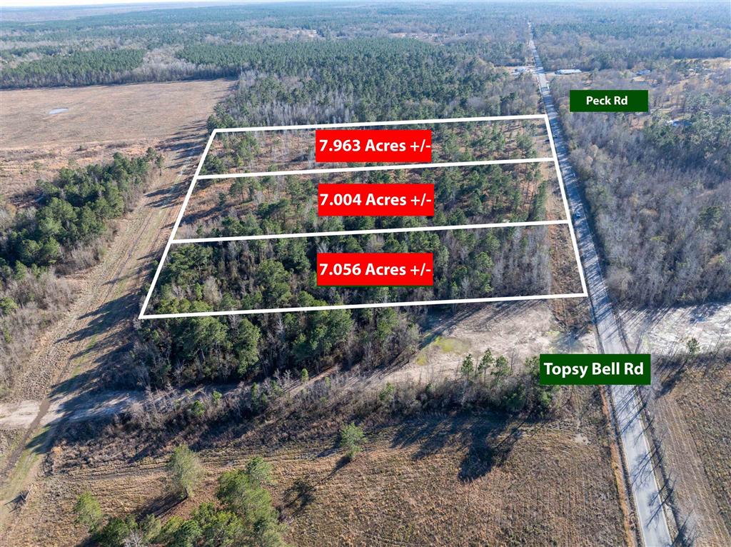 Tbd Topsy Bel Road Ragley, LA 70657 - Photo 2 of 4