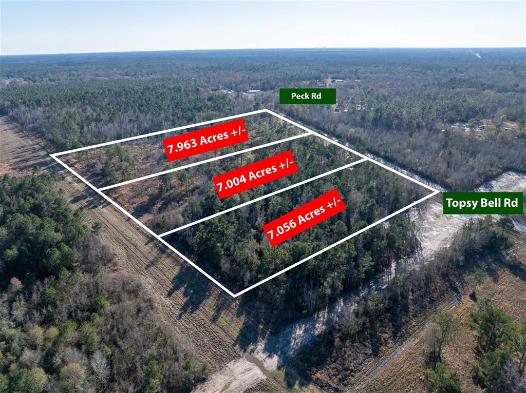 Tbd Topsy Bel Road Ragley, LA 70657 - Photo 3 of 4