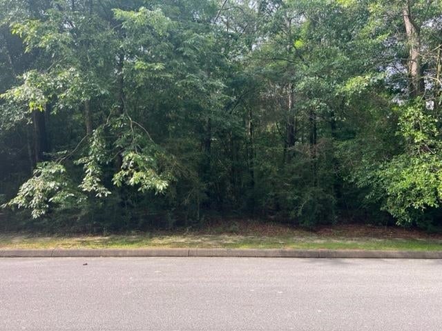 Tbd Shannan Road Opp, AL 36467 - Photo 8 of 20 Gallery Image 8