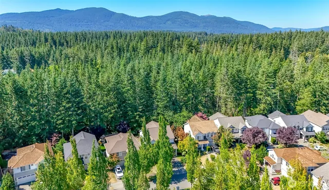 a view of a lush green hillside and houses