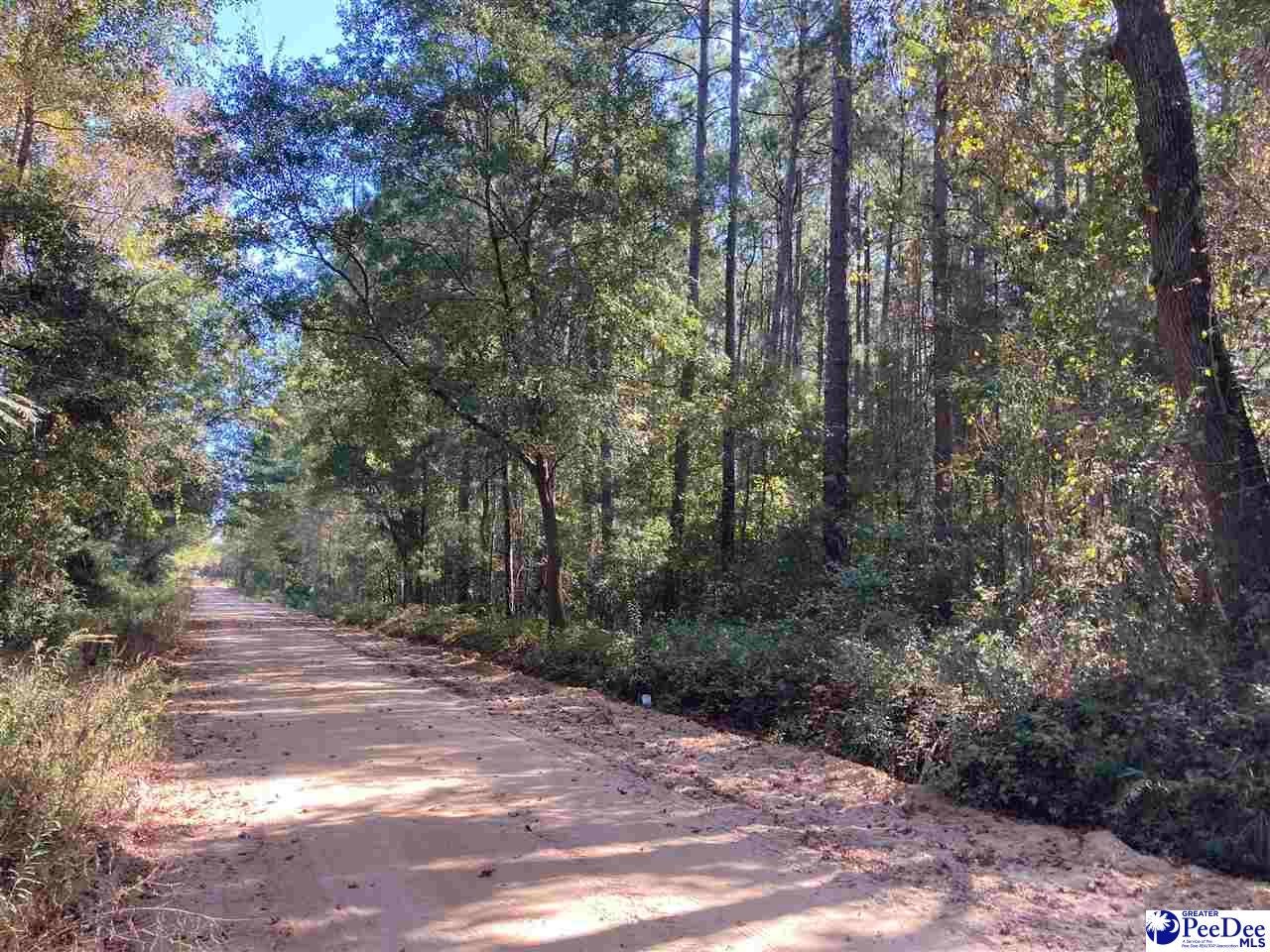 Tbd Old Kemper Road Lake View, SC 29563 - Photo 4 of 6 Gallery Image 4