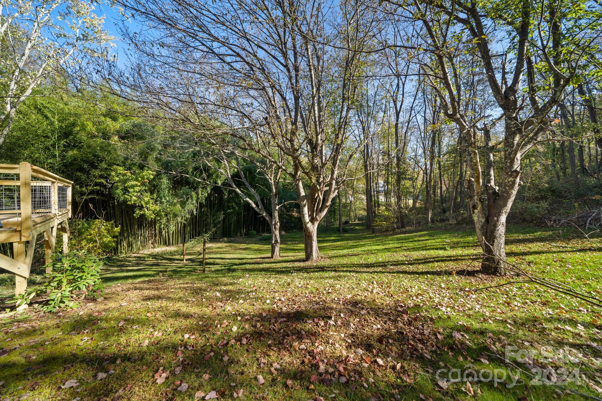 71 Cedar Street Canton, NC 28716 - Photo 40 of 43 Gallery Image 40