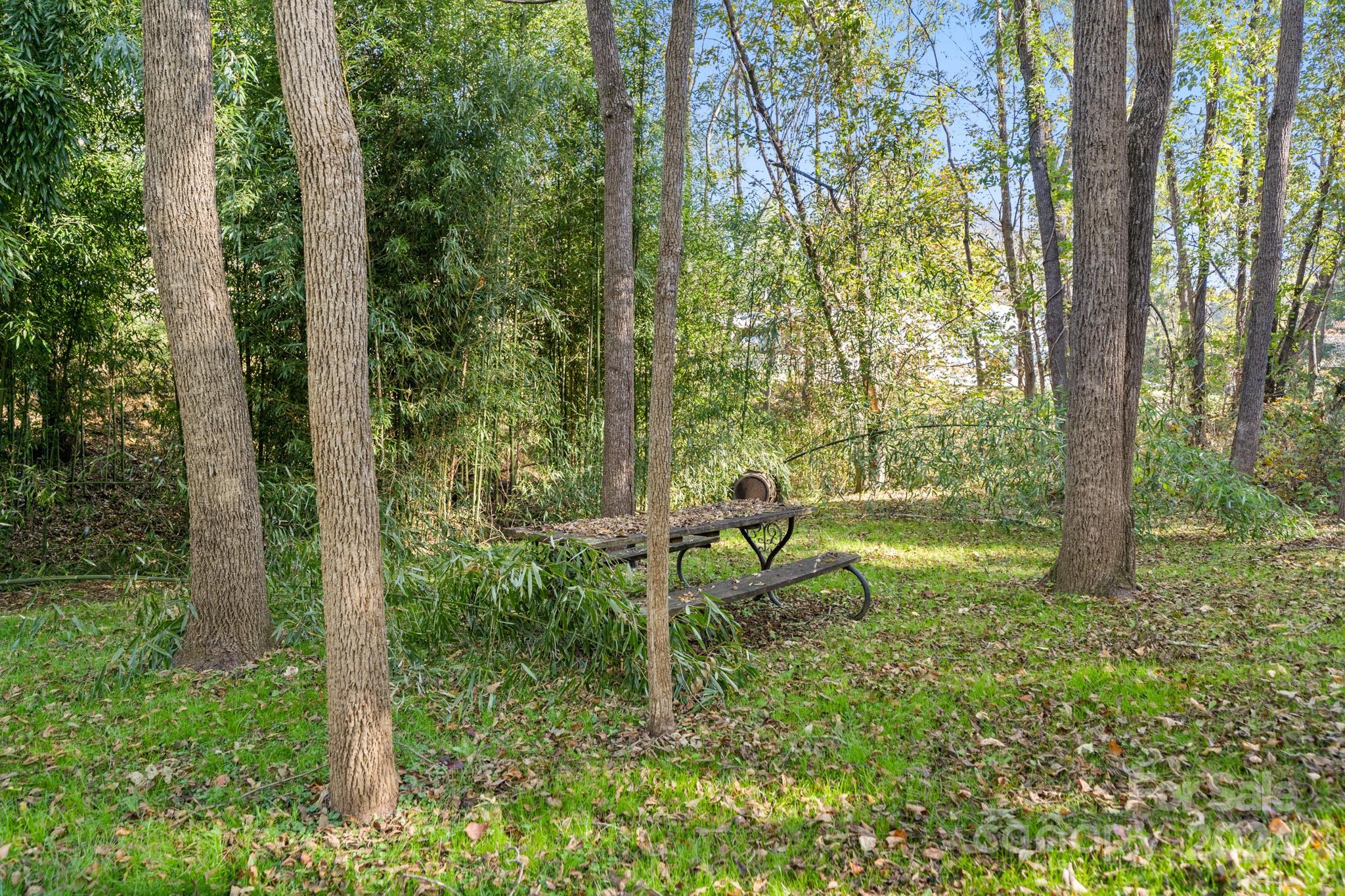 71 Cedar Street Canton, NC 28716 - Photo 43 of 43 Gallery Image 43