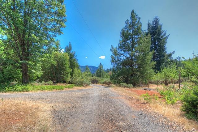 494 Onion Mountain Road Wilderville, OR 97543 - Photo 1 of 23 a view of road and trees