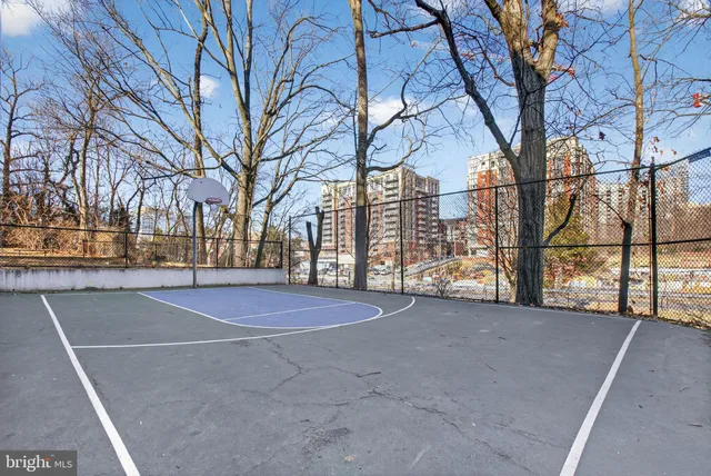 a view of yard with large trees