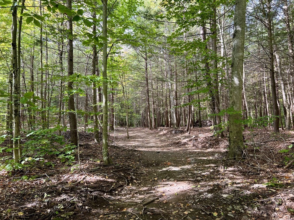 162 Alexander Road Leyden, MA 01337 - Photo 8 of 42