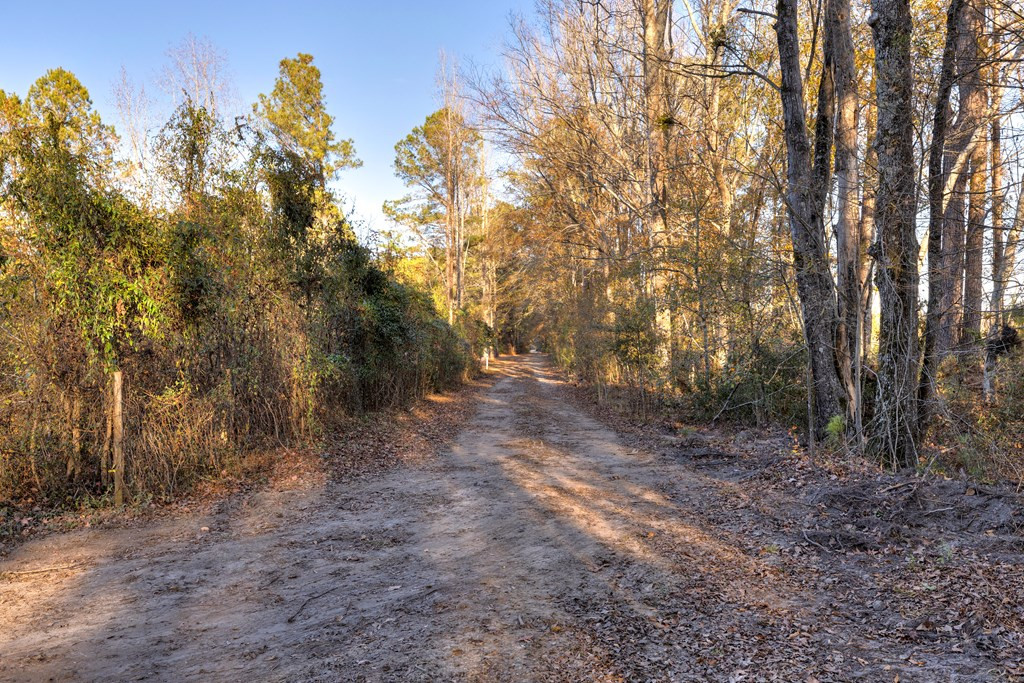 1605 Blossom View Road Sumter, SC 29153 - Photo 7 of 41
