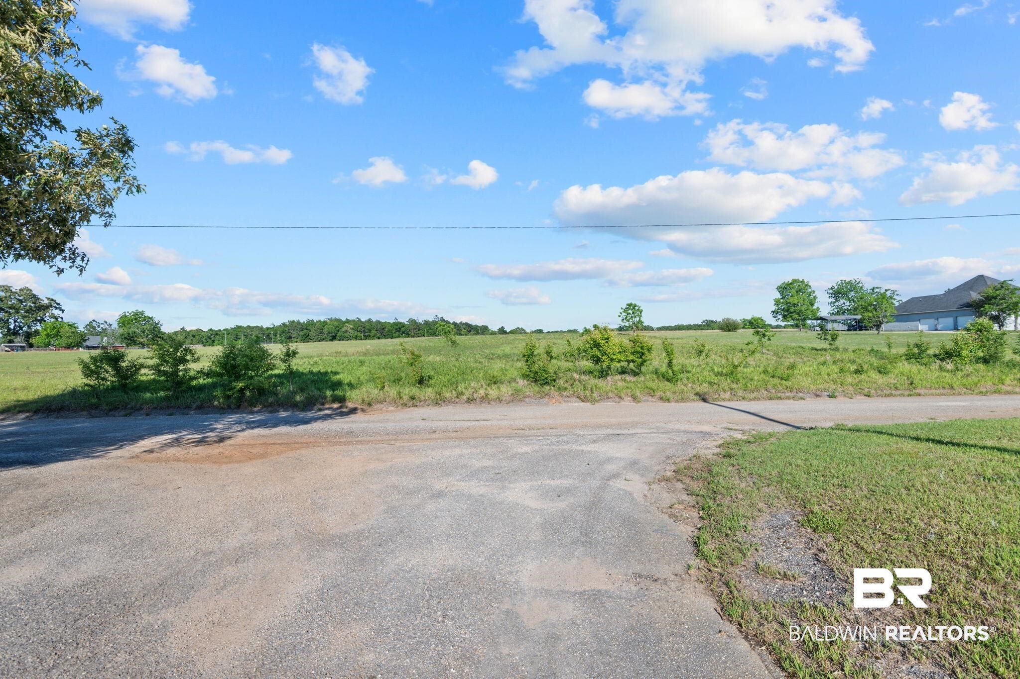 0 Lanier Lane Chunchula, AL 36521 - Photo 12 of 12