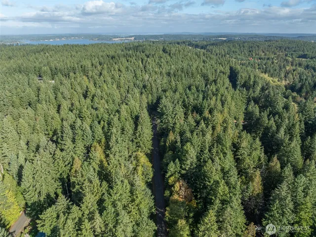 $8,000 | 10602 Vantage Drive, Anderson Island, WA 98303