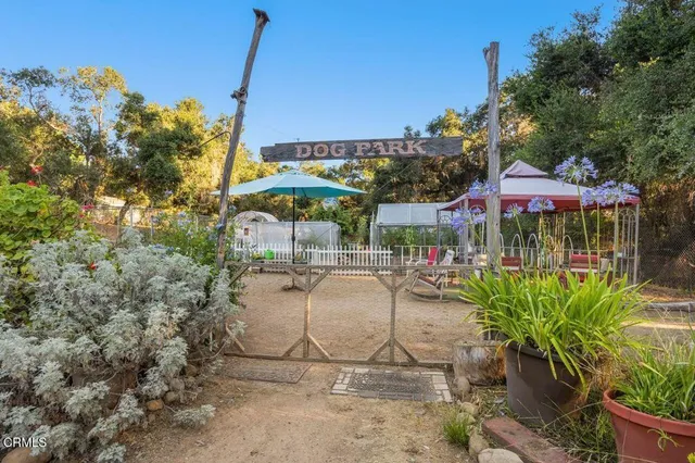 a view of a road with a trees