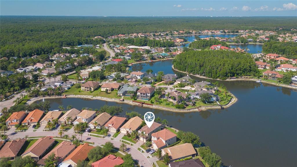 18018 Java Isle Drive Tampa, FL 33647 - Photo 13 of 14
