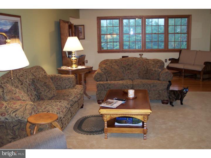 305 Blue Rocks Road Lenhartsville, PA 19534 - Photo 11 of 22 Living Room