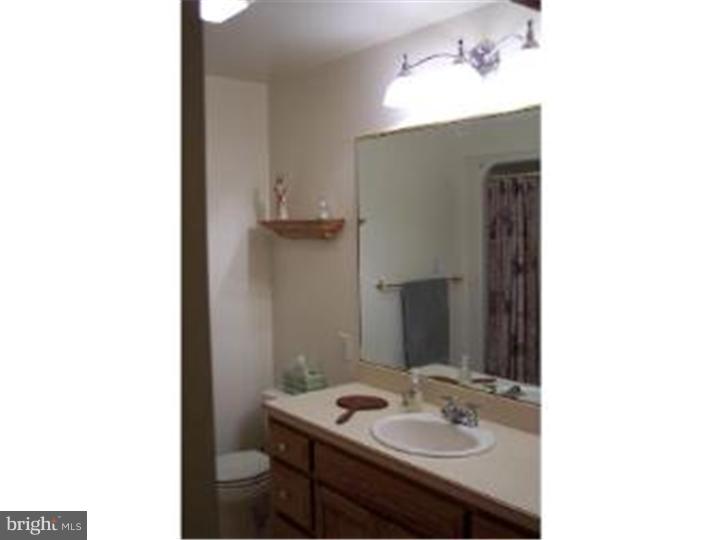 305 Blue Rocks Road Lenhartsville, PA 19534 - Photo 12 of 22 Bathroom