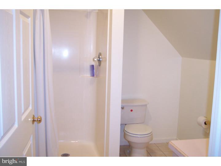 305 Blue Rocks Road Lenhartsville, PA 19534 - Photo 15 of 22 Bathroom