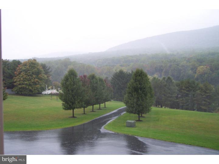 305 Blue Rocks Road Lenhartsville, PA 19534 - Photo 16 of 22 View from Front Door