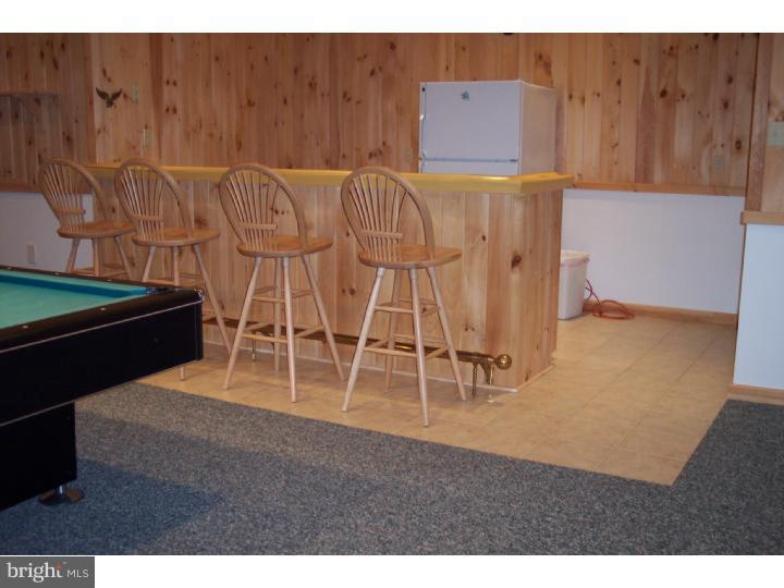 305 Blue Rocks Road Lenhartsville, PA 19534 - Photo 18 of 22 Basement - Finished