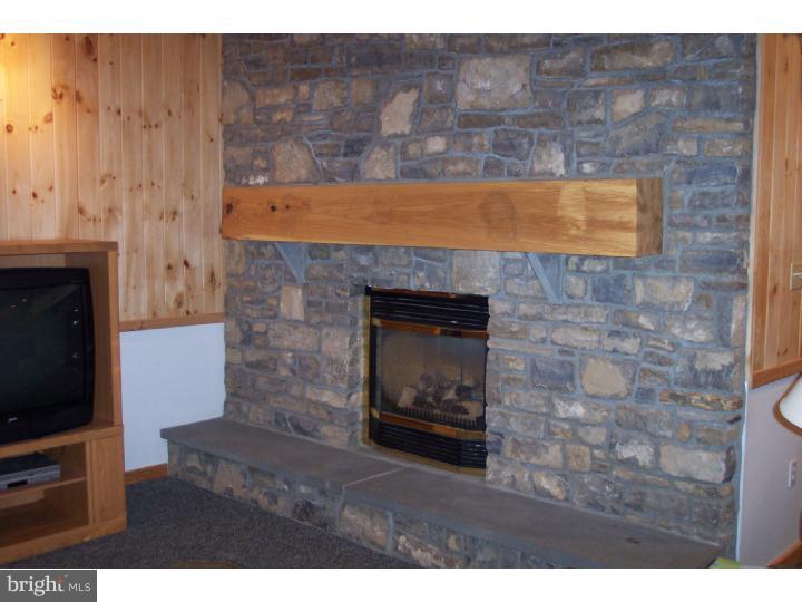 305 Blue Rocks Road Lenhartsville, PA 19534 - Photo 19 of 22 Family Room