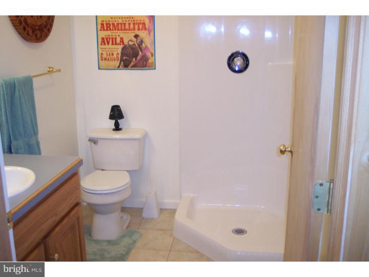 305 Blue Rocks Road Lenhartsville, PA 19534 - Photo 21 of 22 Bathroom