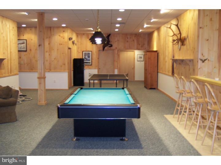 305 Blue Rocks Road Lenhartsville, PA 19534 - Photo 22 of 22 Game Room
