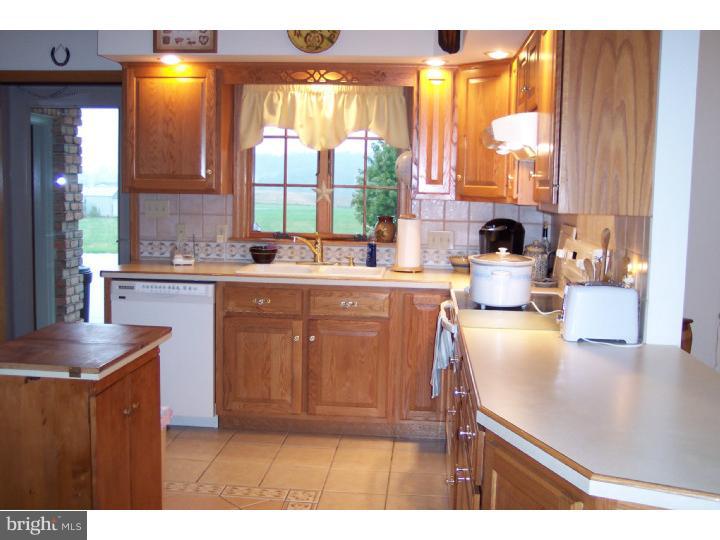 305 Blue Rocks Road Lenhartsville, PA 19534 - Photo 7 of 22 Kitchen