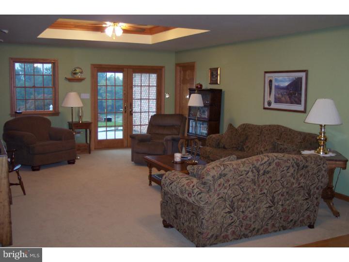 305 Blue Rocks Road Lenhartsville, PA 19534 - Photo 9 of 22 Living Room