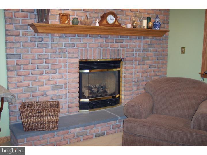 305 Blue Rocks Road Lenhartsville, PA 19534 - Photo 10 of 22 Fireplace