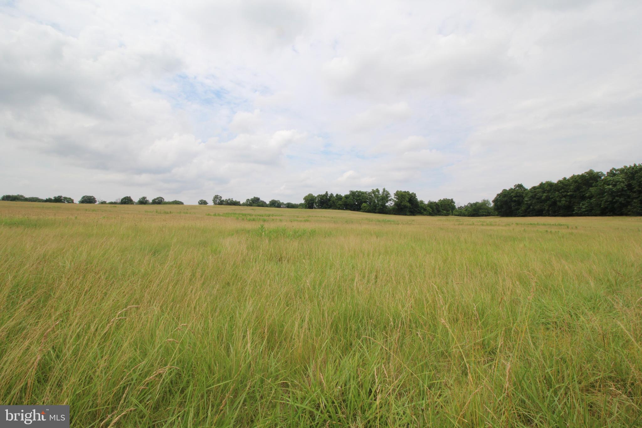 East Harney Road Taneytown, MD 21787 - Photo 3 of 7