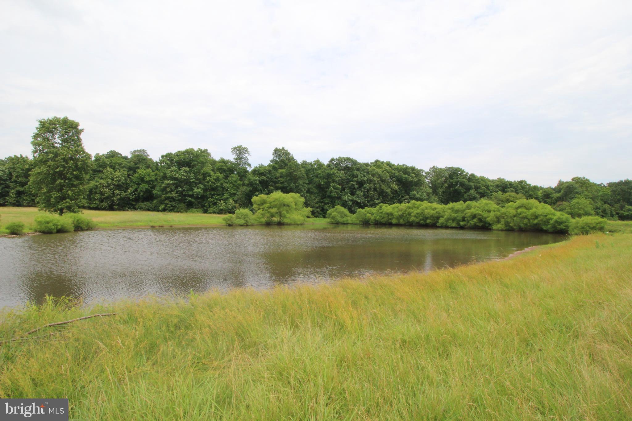 East Harney Road Taneytown, MD 21787 - Photo 5 of 7