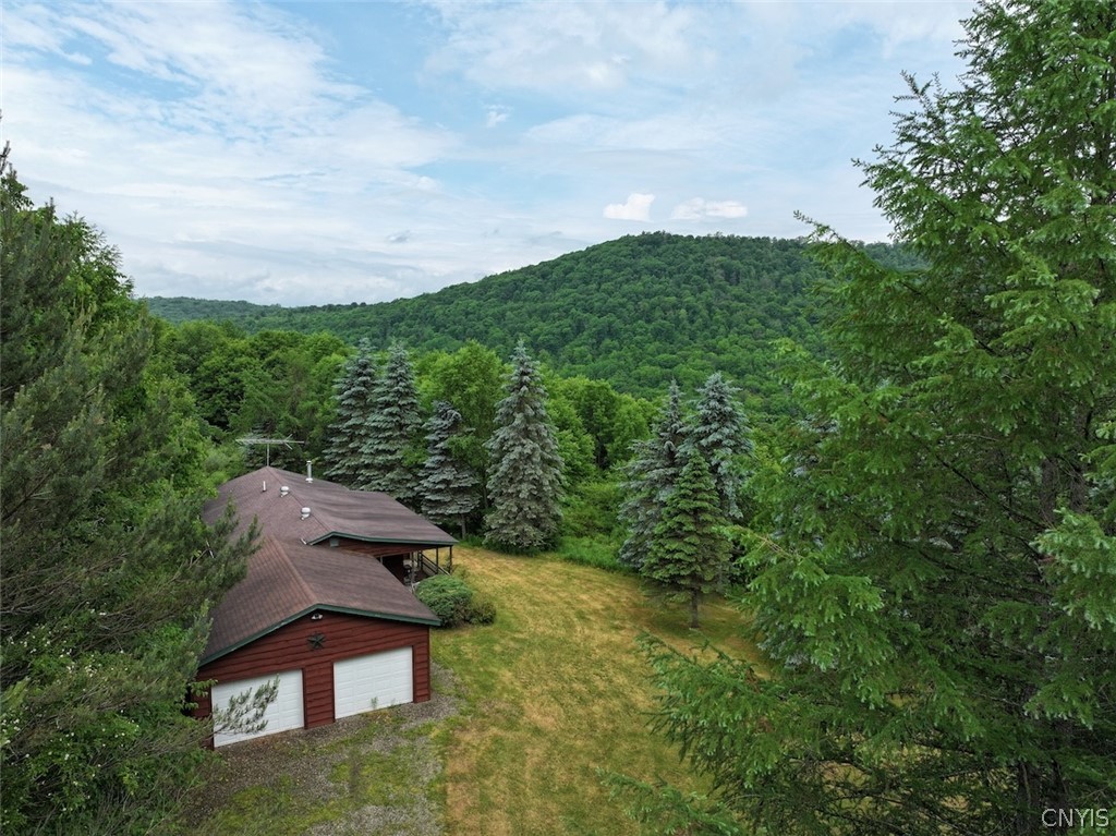 3773 Haskell Vly Vw Road Clarksville, NY 14727 - Photo 6 of 50