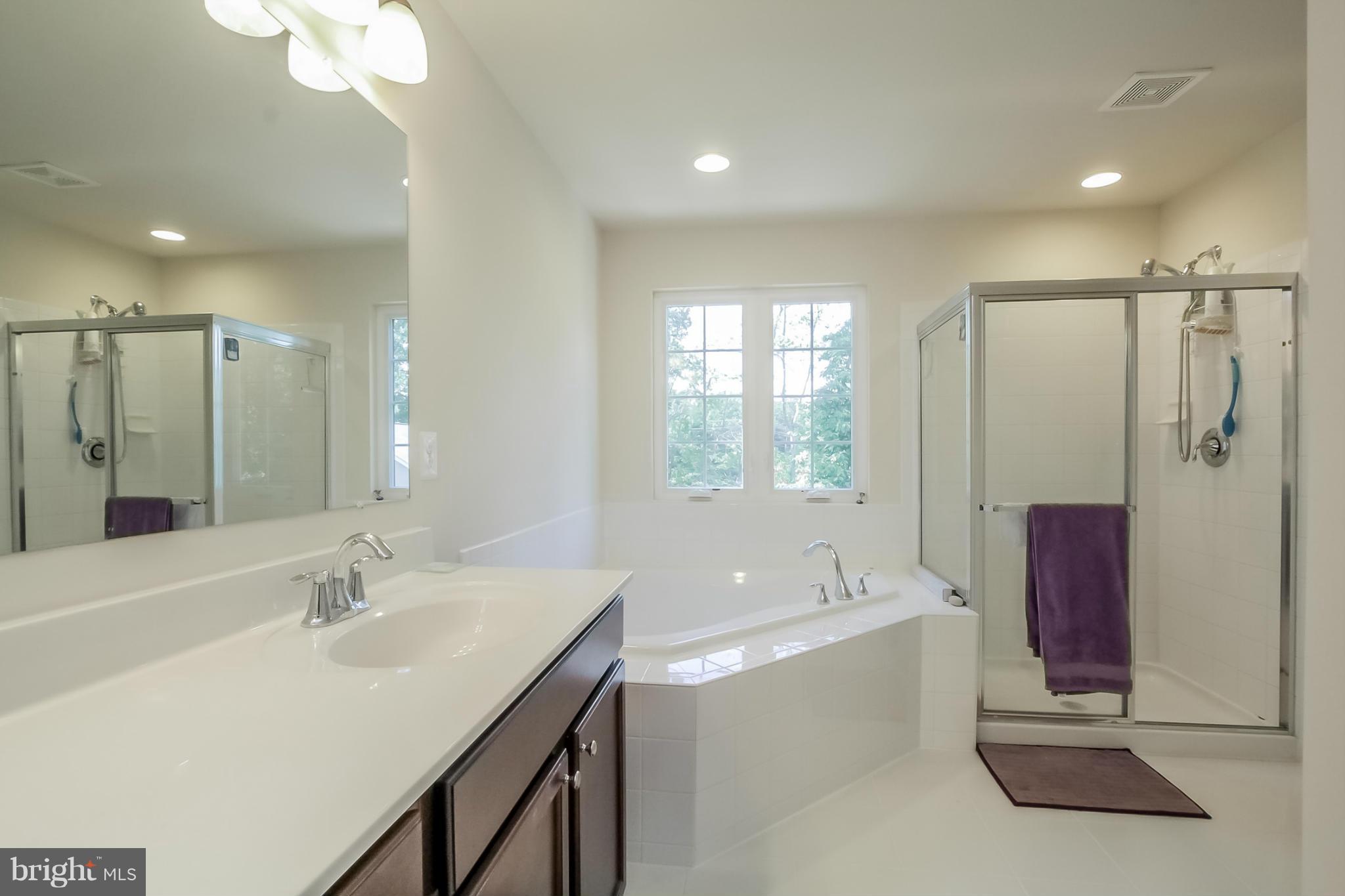 8575 Crooked Tree Lane Laurel, MD 20724 - Photo 12 of 19 Bath (Master)