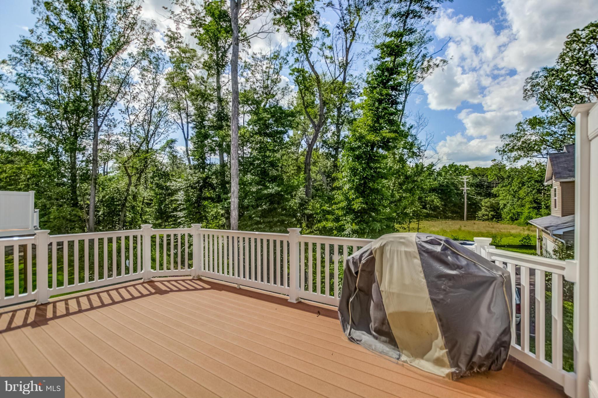 8575 Crooked Tree Lane Laurel, MD 20724 - Photo 8 of 19 Exterior (Rear)