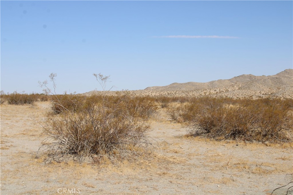 18-ac Lessing Avenue Adelanto, CA 92301 - Photo 17 of 17 a view of a dry yard with mountains in the background