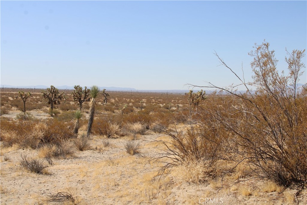 18-ac Lessing Avenue Adelanto, CA 92301 - Photo 8 of 17 a view of a dry space with lots of trees