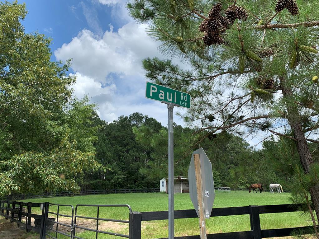 0 Paul Road Monetta, SC 29105 - Photo 1 of 14