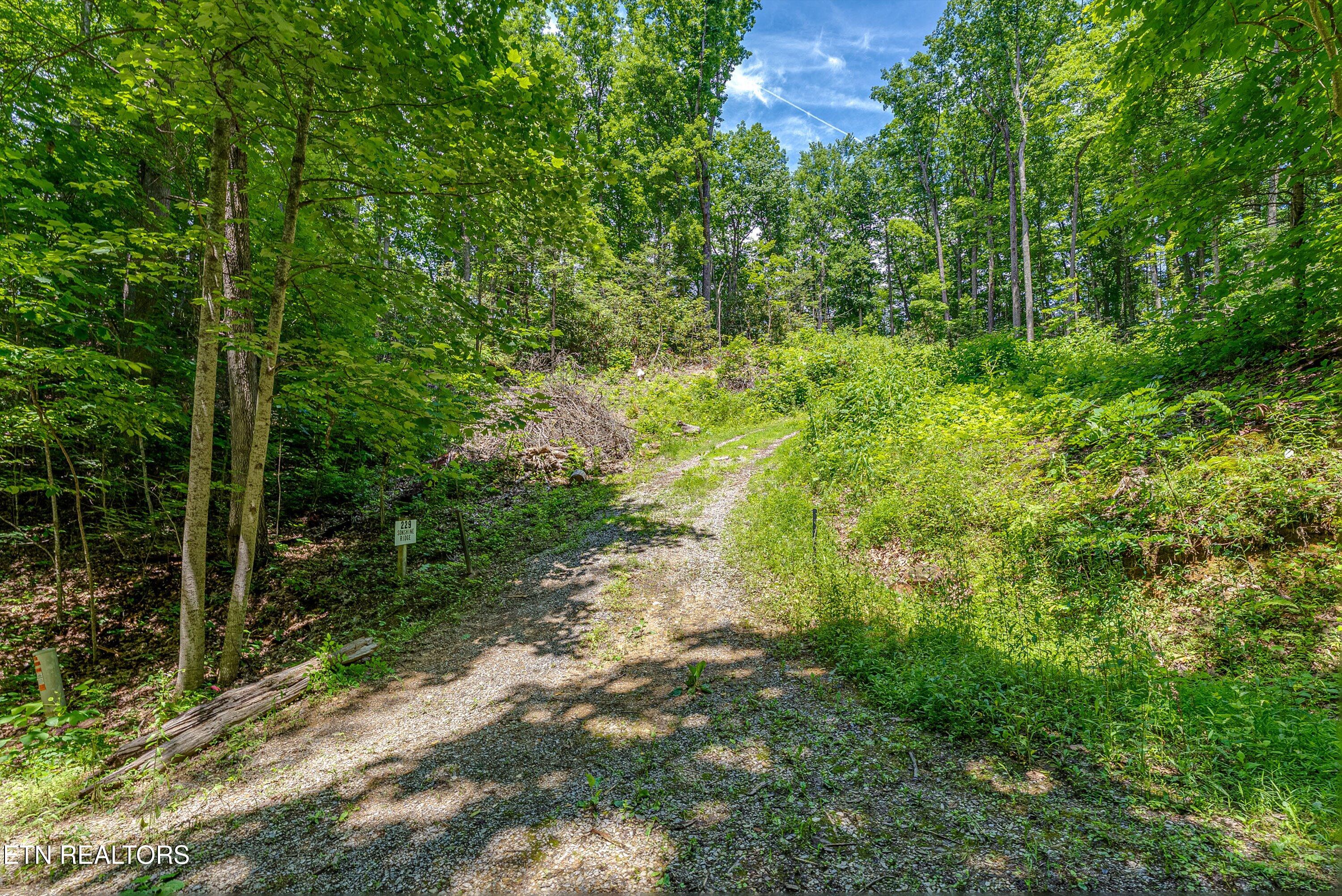 229 Sonshine Ridge Road Cosby, TN 37722 - Photo 3 of 22 26-Entrance A2
